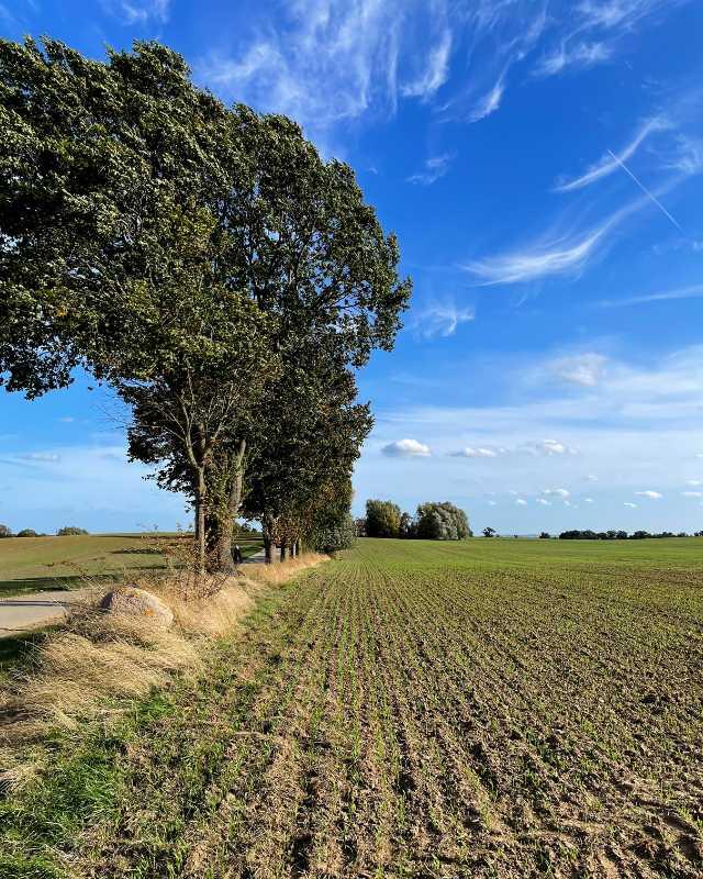 Die Landwirtschaft versorgt die Menschen mit gesunden, qualitativ hochwertigen und bezahlbaren Lebensmitteln. Regionale Produktion verkürzt Transportwege und leistet damit einen Beitrag zum Klimaschutz. Die Landwirtschaft pflegt und schützt zudem die Natur und bewahrt die historisch gewachsene Kulturlandschaft unseres Landes. Sie leistet einen erheblichen Beitrag zur alternativen Energiegewinnung. All diese Leistungen sind unverzichtbar, müssen sich lohnen und gefördert werden.