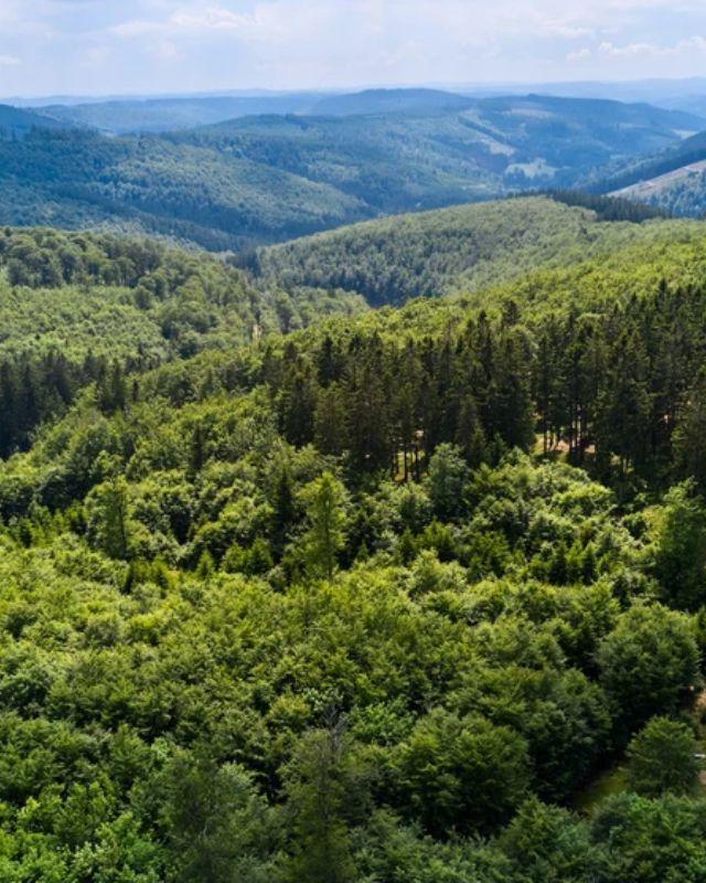 Jahrhundert-Hochwasser, Dürre, Trockenheit, Hitze, Stürme, Borkenkäferbefall: das setzt uns Menschen und das setzt unserer Natur zu. Als Christdemokratinnen und Christdemokraten wissen wir um den Auftrag, die Schöpfung zu bewahren, was nichts anderes heißt, als dass wir Natur erhalten. Auch um uns selbst zu schützen.